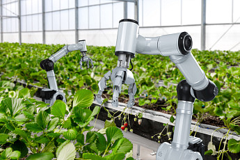 스마트농업 우수기업 15곳 첫 선정…융자 100억원까지 지원