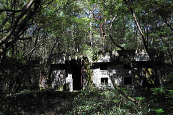 한라산 대피소·익산 야생차 군락…국가산림문화자산 2곳 신규 지정