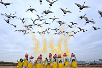 에쓰오일, AI 영상으로 두루미 조명⋯생태보전 메시지 전달