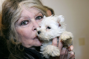 프랑스 여배우, 브리지트 바르도 별세…향년 91세