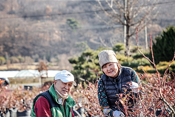 석두(石頭)라는 별명으로 통했던 이의  영리한 농사에 대해