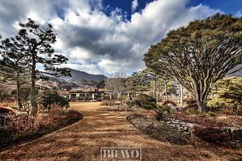 청솔과 위트로 연출한 도가(道家) 정원의 멋이라니…