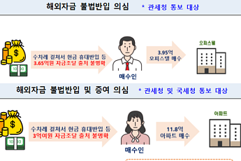 환치기부터 편법 증여까지…외국인 오피스텔·토지서도 위법사례 88건 적발