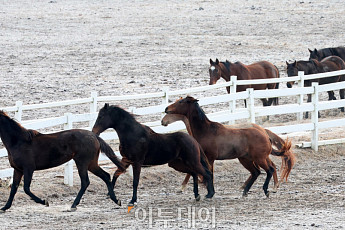조선시대 ‘그사세’가 궁금하다면…말갖춤으로 엿보는 럭셔리의 세계