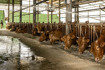 냄새·민원 골칫덩이 가축분뇨, 이제는 자원으로…정부, 첫 실험지 공개
