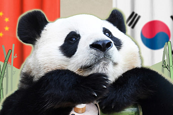판다 추가 대여…푸바오가 돌아올 순 없나요? [해시태그]