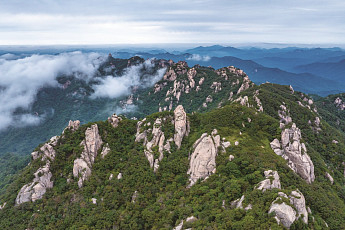 백두대간 10년 청사진 나왔다…보호 넘어 ‘회복·상생·국제 협력’으로 확장