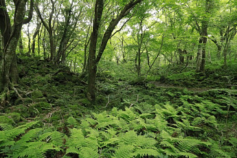 생태계서비스 지불제 참여자 ...제주도 모집합니다