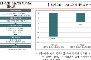 기업 규모별 규제 비용 GDP 손실 무려 ‘111조’…“지원체계 구축해야”