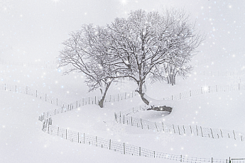 [카드뉴스] 겨울에 떠나기 좋은 국내 설경 명소 5선