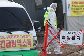 경기 포천 닭 농장에서 고병원성 AI 확진, 출입통제ㆍ살처분