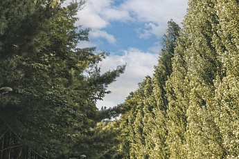 강북 명소 '경춘선숲길' 광운대역까지 연장...노원구 