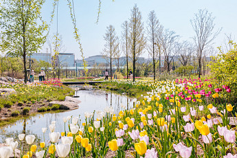 서울식물원, 국가 희귀·특산식물 보전기관 지정⋯서울서 두 번째