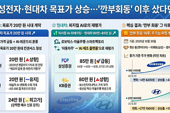 삼성전자·현대차 목표가 상승…'깐부회동' 이후 샀다면? [인포그래픽]