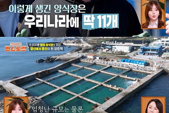 '편스토랑' 양준혁, 3000평 방어 양식장 대성공⋯