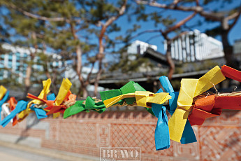 달콤 쌉싸름한  당산마을 설 풍경