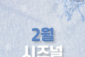 [카드뉴스] 지금이 절정, 다 같이 즐기는 '2월 전국 축제' 6선