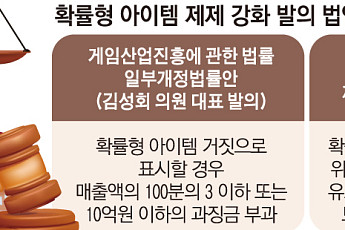 메이플키우기 ‘능력치 적용’ 오류…국회 원천 차단 움직임, 게임업계 예의주시