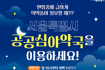 서울시 '공공심야약국' 지난해 24만 건 이용…진통제 수요 최다