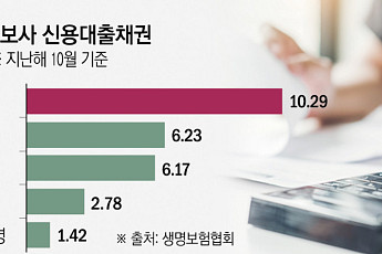 생보사 새도약기금 분담 논란…‘빅5 65%’ 둘러싼 업계 이견