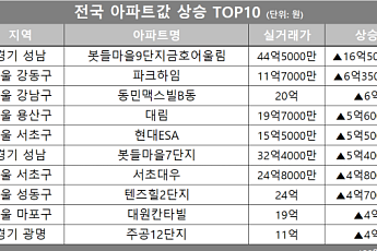[아파트값 상승 톱10] 경기 성남시 ‘봇들마을9단지금호어울림’ 등