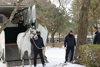 세계랭킹 1위 경주마 ‘닉스고’ 제주 입성…교배료 전액 무상, 국산마 판 바뀌나