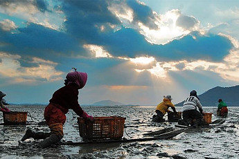 '레저·생태' 공존 해양수산...보성군 청사진 제시