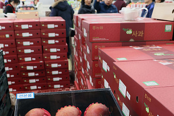 ‘금사과’ 막아라…정부, 올해 생산량 10% 확대 추진