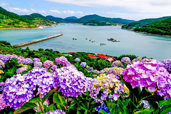 대한민국 대표 로컬 명소...고흥군 쑥섬