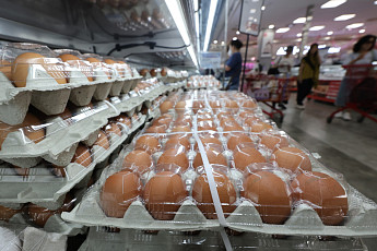 계란 한 판 7천원 돌파…살처분 1천만 마리 영향[물가 돋보기]