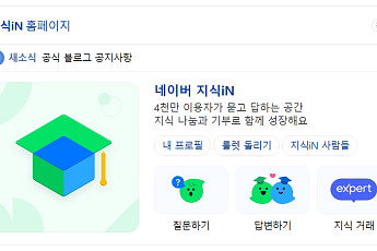 네이버 지식인 답변 '파묘 중'…유출된 유명인은?