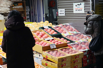 온라인 판매 늘자 농산물 안전관리도 강화…11월까지 1800건 집중 점검