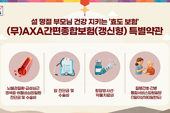 AXA손보 