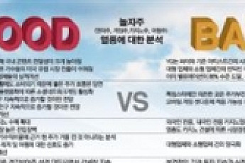 [놀자株 전성시대]당분간은 '팡팡'…한탕 쫓단 '쪽박'