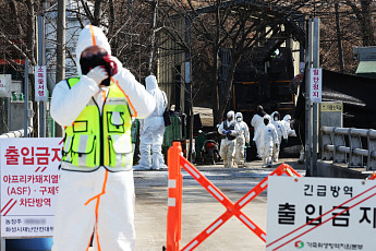 ASF 유전자 검출 사료 파장…전국 양돈농가 2회 일제검사로 확산 차단