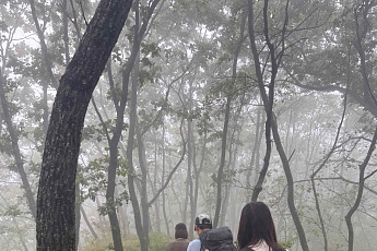 동서로 잇는 512km 숲길 열린다…산림청, 동서트레일 시범운영 착수