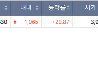 [급등락주 짚어보기] 다스코 상한가…코스닥선 우리기술·플루토스 급등