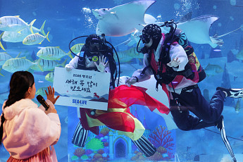 설 연휴 어디로 갈까…고궁은 무료, 박물관은 체험 행사