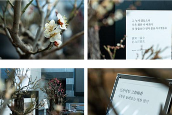 설 연휴 ‘문화 산책’ 해볼까⋯가족 나들이에 좋은 전국 박물관 전시