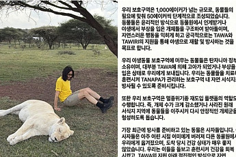 노홍철, 약에 취한 사자와 교감?⋯동물학대 논란에 해명 