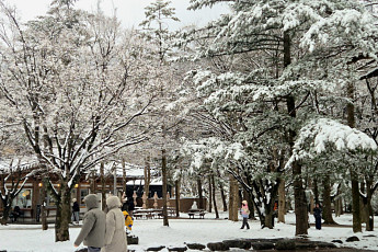 강원 귀성길 눈 쌓여 주의…고성 16㎝·강릉 11.7㎝