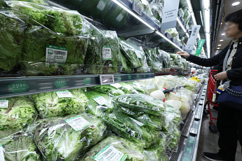 설 대목 지나도 농축산물 가격, 계속 오름세[물가 돋보기]