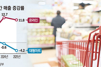 유통법 14년의 역설…골목상권 죽고 ‘규제 차익’만 남아[규제 만능주의의 그늘上-②]