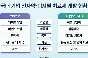 “약 대신 기기”…우울증 치료, 전자약·디지털치료제로 재편