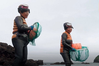 '세계 25대 여행지'...제주도 성산포 등 포함 '예약 증가'