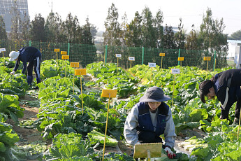“월 260만원에 취업 연계까지”…전북 청년, 종자기업 6개월 인턴십