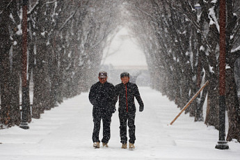 충청·경상 대설특보에 중대본 1단계 가동… 위기경보 '주의' 격상