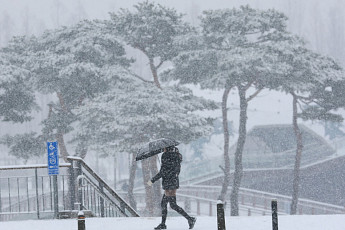 안전재난문자 잇따라…'대설주의보' 충청·강원 시간당 3㎝ 폭설