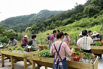 고령농 농지 모아 청년이 키운다…공동영농 6곳 규모화 시동