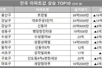 [아파트값 상승 톱10] 서울 강남구 ‘개포주공5단지’ 등